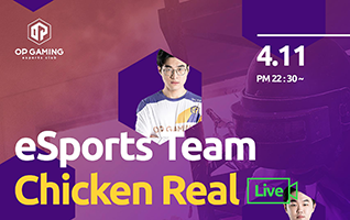 eSports Team Chicken Real Live-DG98